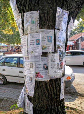 A tree trunk used as a obituary notice board