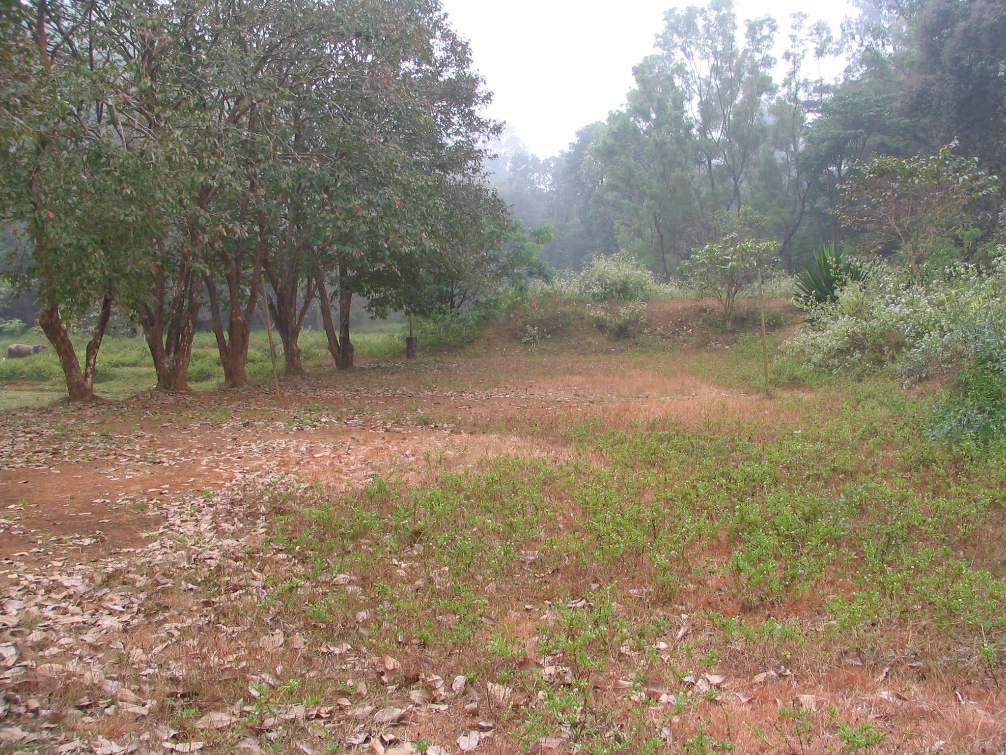 volleyball court
